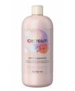 Шампунь для сухих вьющихся и окрашенных волос Inebrya Shampoo Dry-T